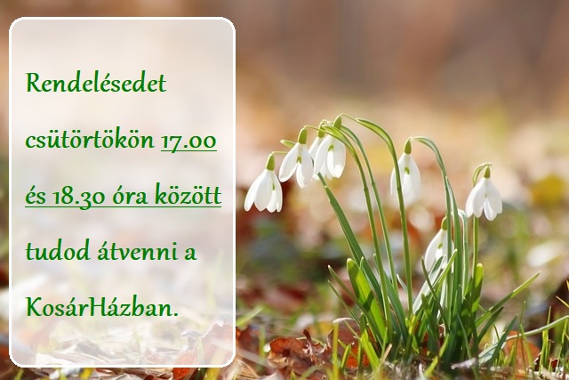 Hóvirágos átvétel